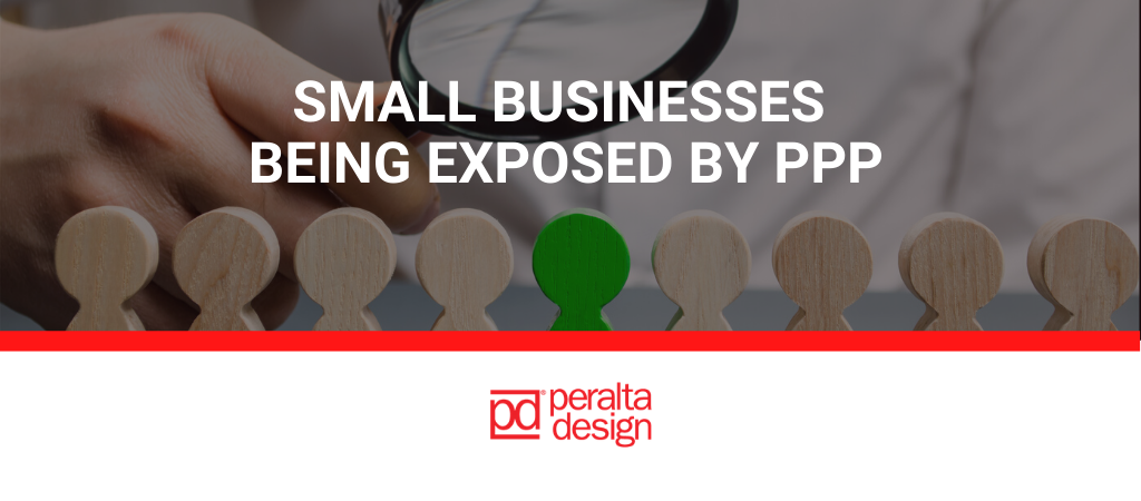 Small Businesses are Being Exposed by PPP