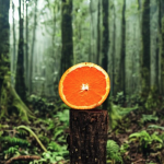 Orange on a tree stump in the woods generated by AI