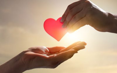 Donor Optimization Tips for Nonprofits in 2025